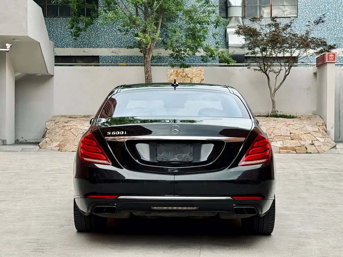 Mercedes-Benz S-Class 2014 S 600 L фото 5