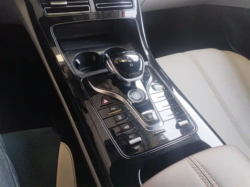 BYD Qin PLUS 2023 Champion Edition DM-i 55KM Leading фото 14