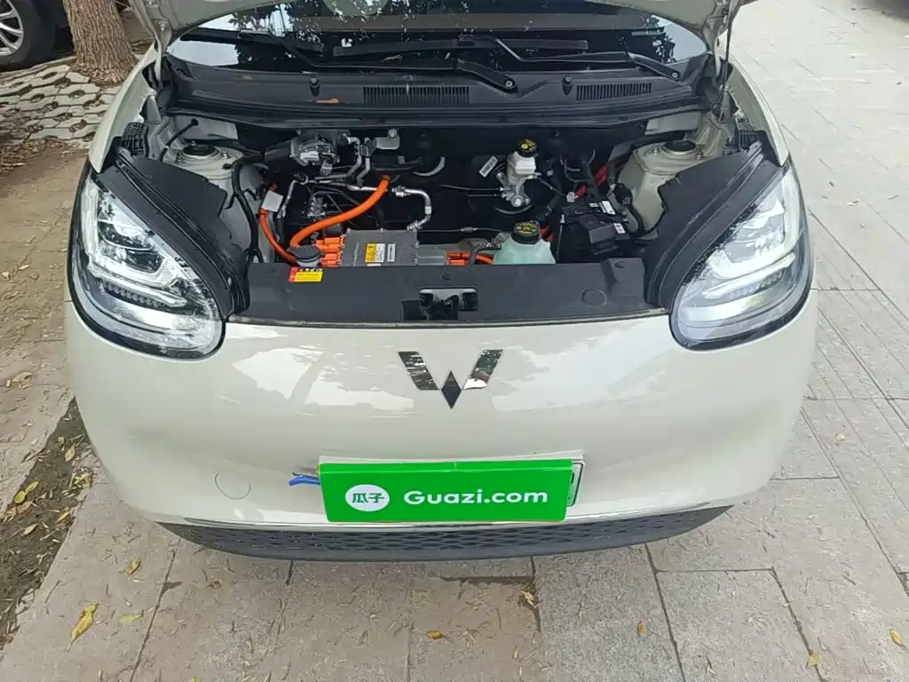 Wuling Motors Wuling Bingo 2023 2023 Model 333km Telepathic Connect+ Version