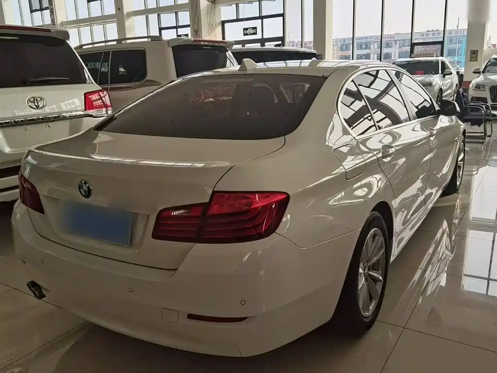 BMW 5 Series 2014 520Li Elegance фото 6