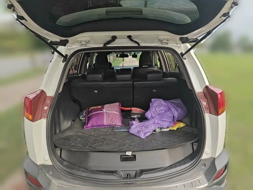Фото 20 - Toyota RAV4 Rongfang