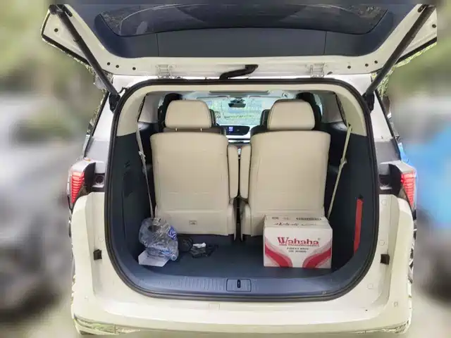 Buick GL8 New Energy 2024 Land Honor Luxury Edition 6-Seater — фото 5