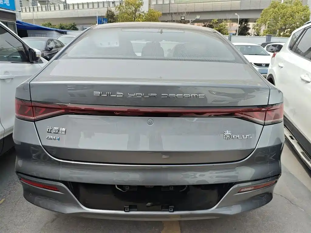 BYD Qin PLUS 2024 Glory Edition DM-i 55KM Leading фото 4