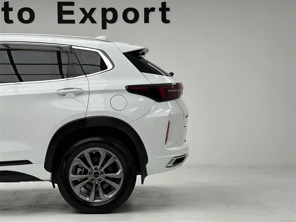 Exeed Windchaser 2024 2024 Model 1.5T CVT Lucky Peanut Edition