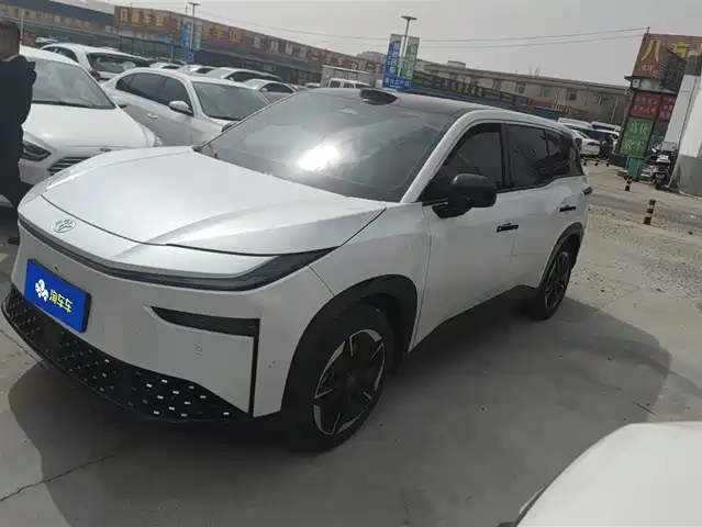 TOYOTA PLATINUM WISDOM 3X