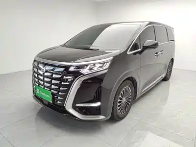 Denza D9