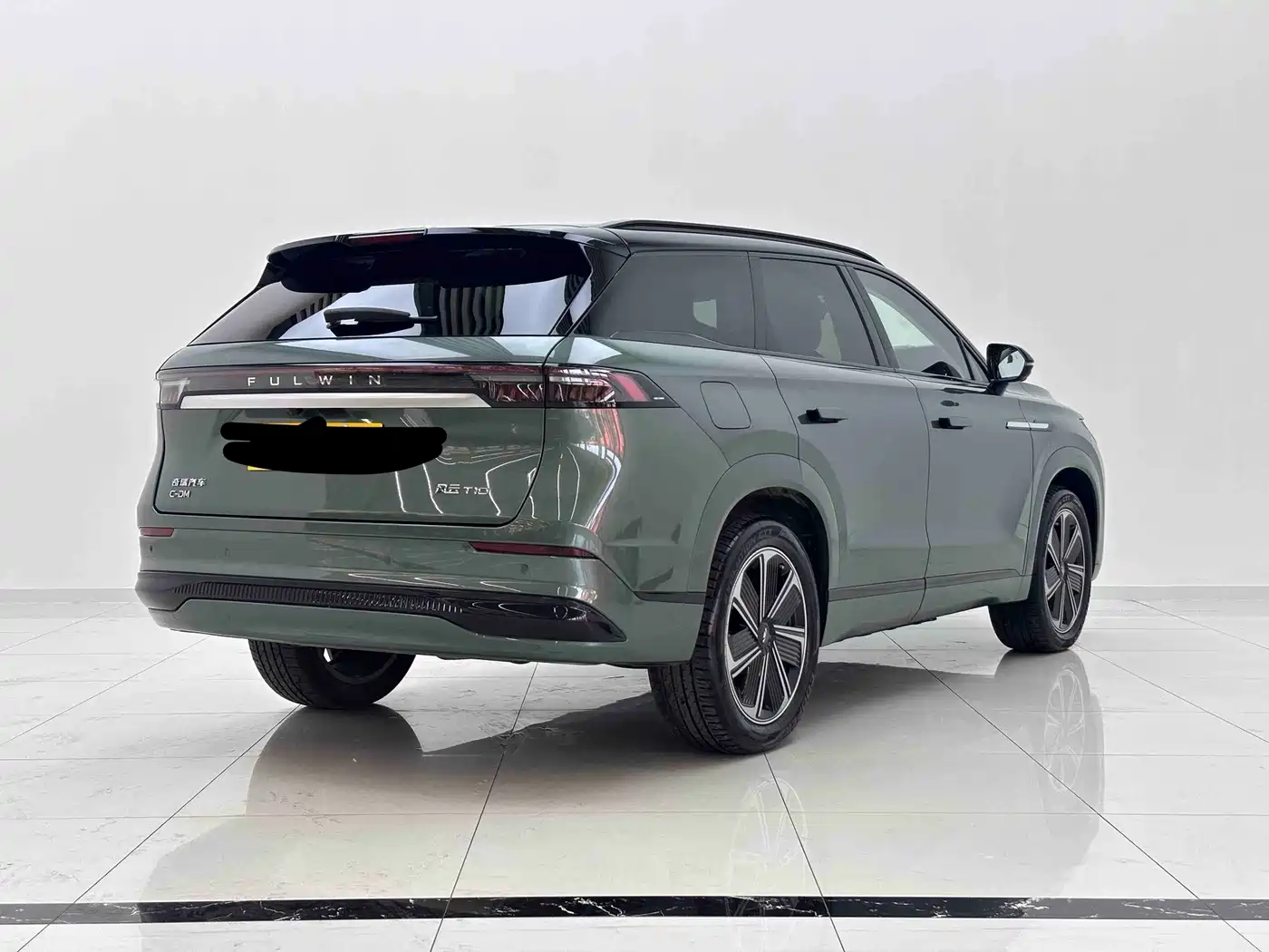 2024 Chery Fengyun Fengyun T10