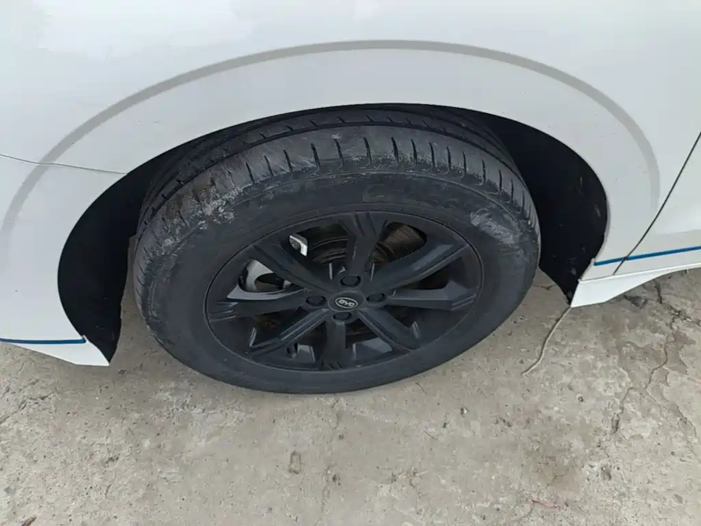 BYD e2 2021 2021 Luxury Edition