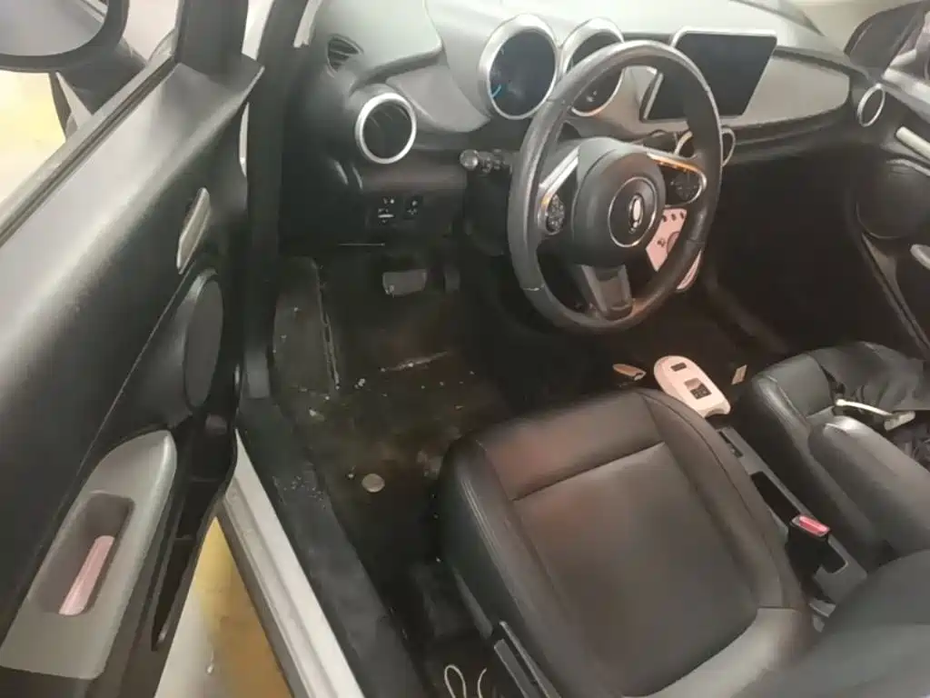 Ora Black Cat 2022 2022 301km Cute Pet Edition (LFP)