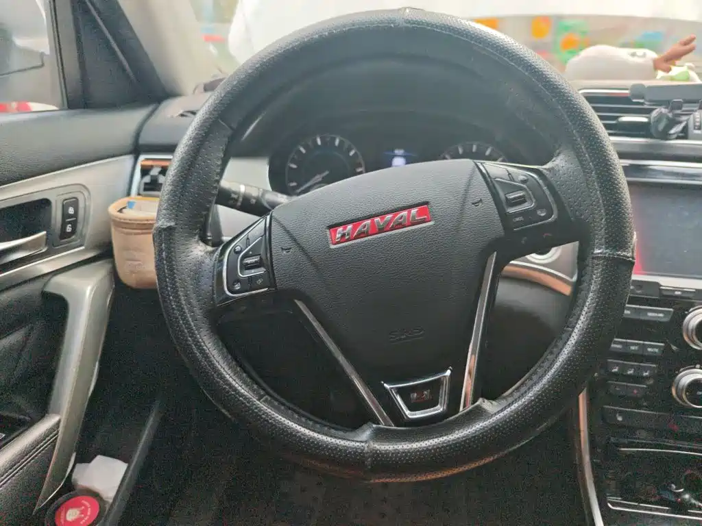 Photo 11 - Haval H2