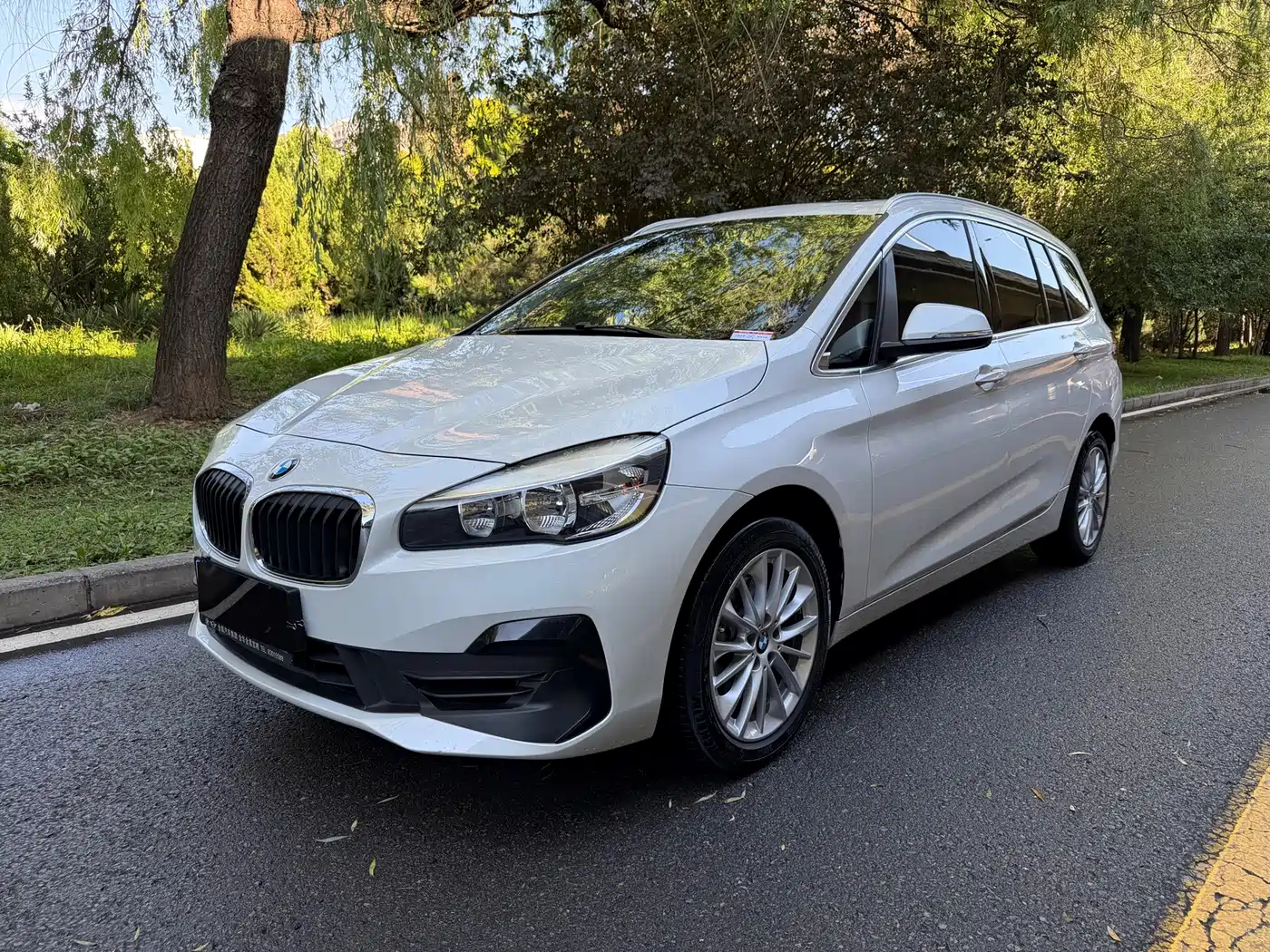 BMW 2 Series Gran Tourer 2019 2018 220i Luxury Line