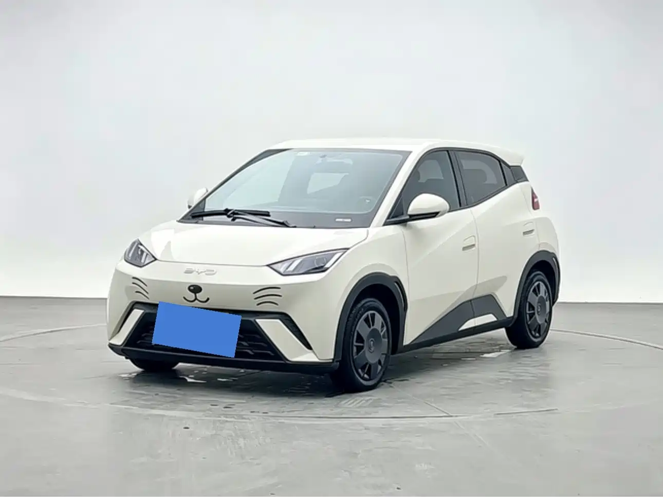 BYD Seagull 2024