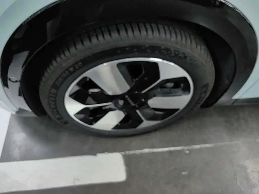 ZEEKR MIX 2025 2025 Smart Driving Edition
