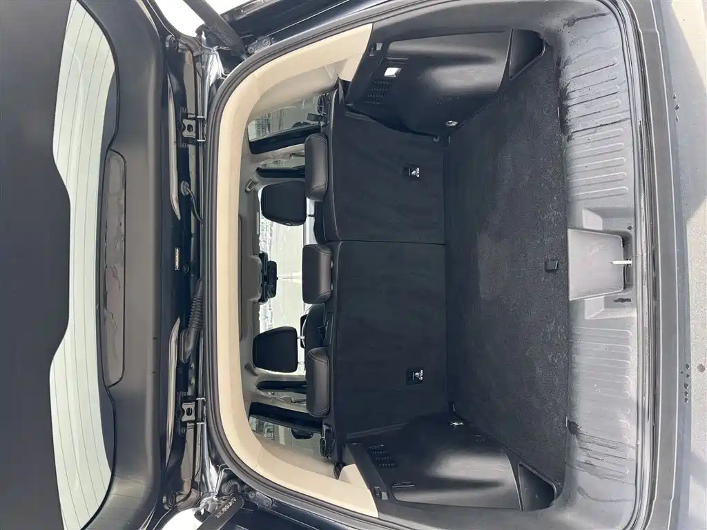 Haval Big Dog 2024 1.5T DCT Border Collie Edition фото 13
