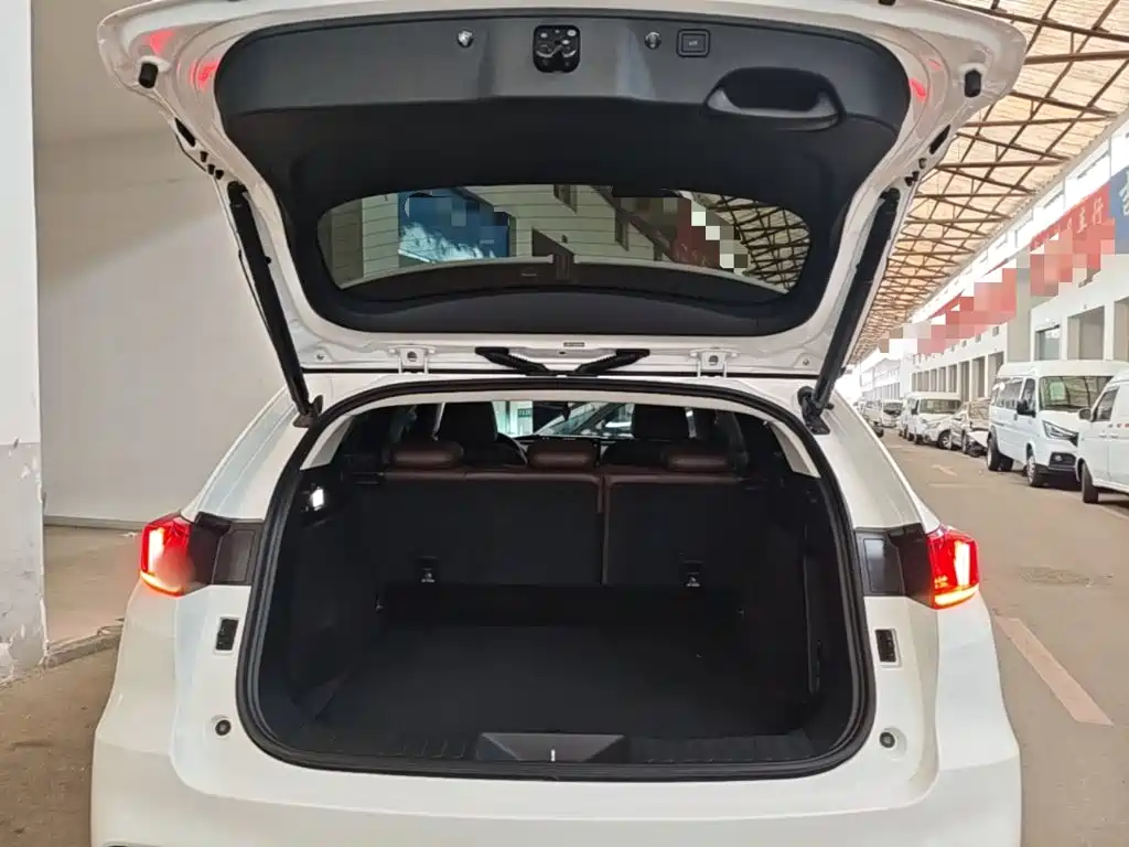 WEY VV7 2019 2020 Model 2.0T Flagship