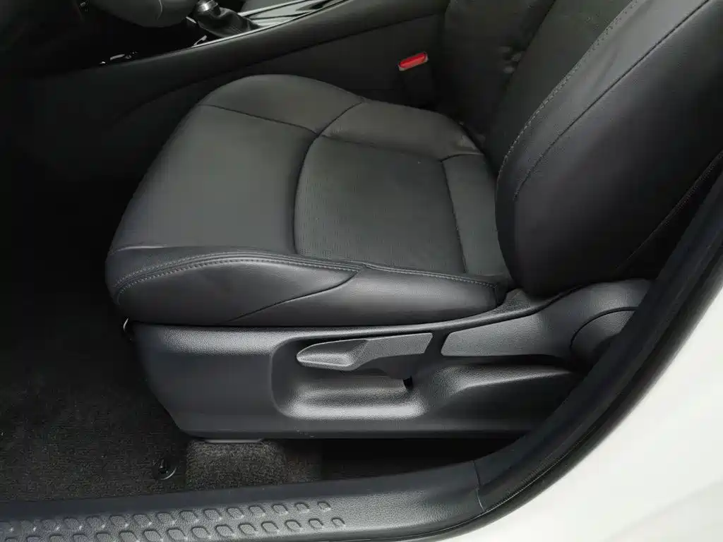 Toyota IZOA 2020 2020 2.0L Yi Xiang Edition