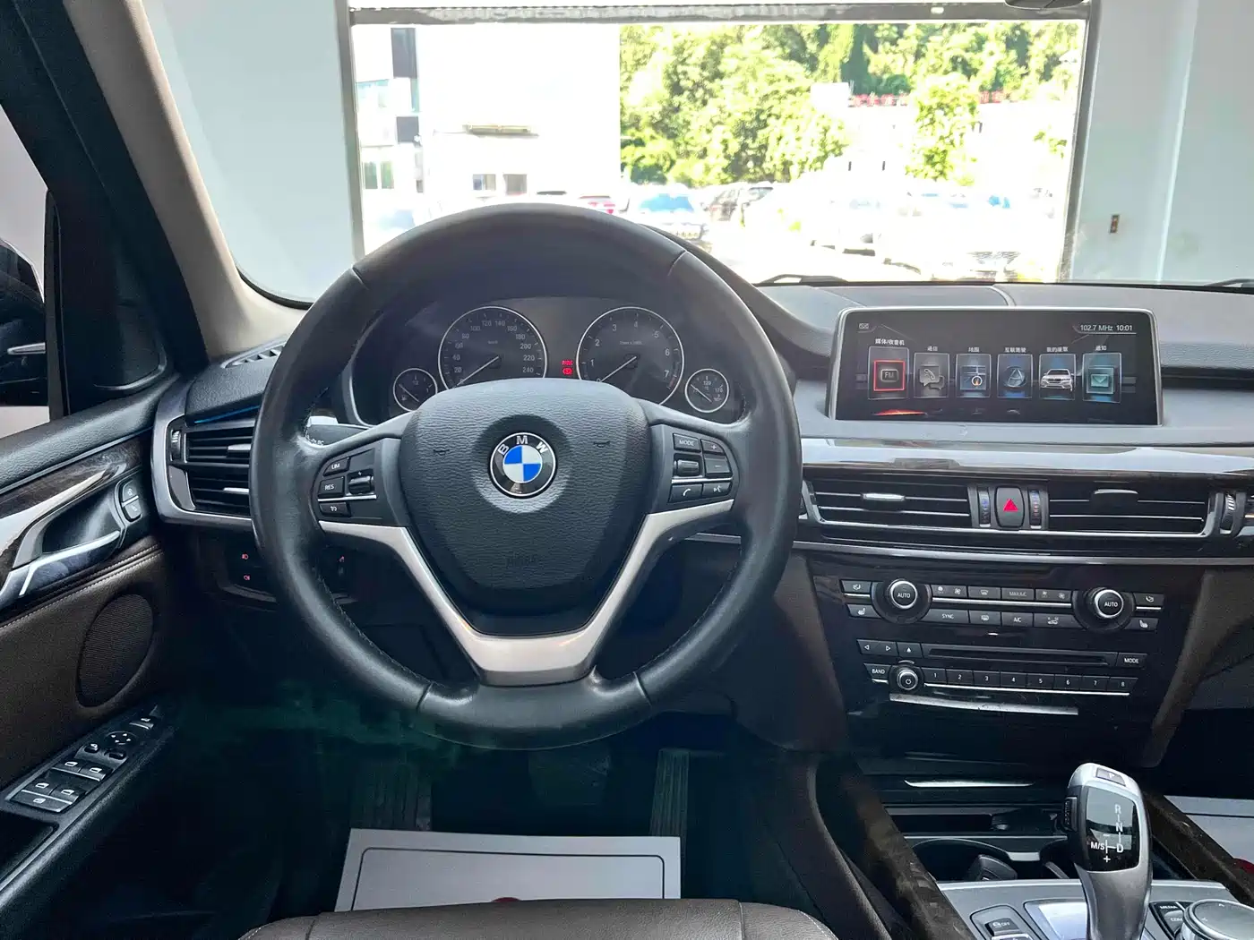 BMW X5 (Import) 2017 xDrive35i Elegance фото 19