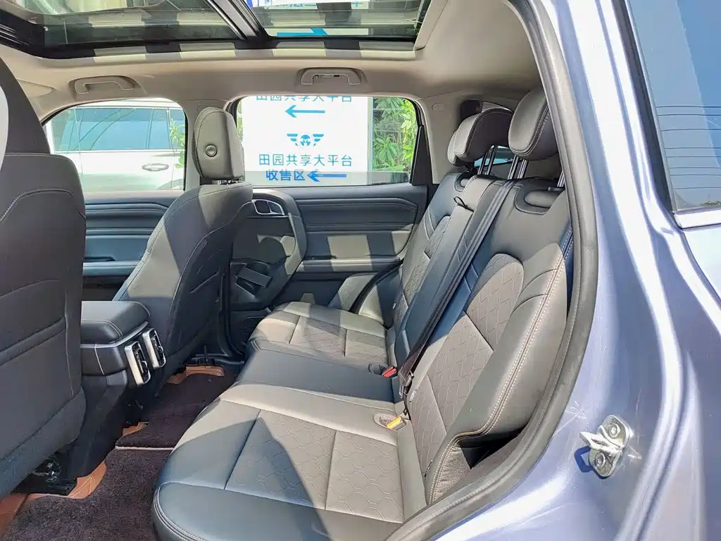 Haval Dargo 2025 2024 2.0T DCT Chinese Rural Dog Edition