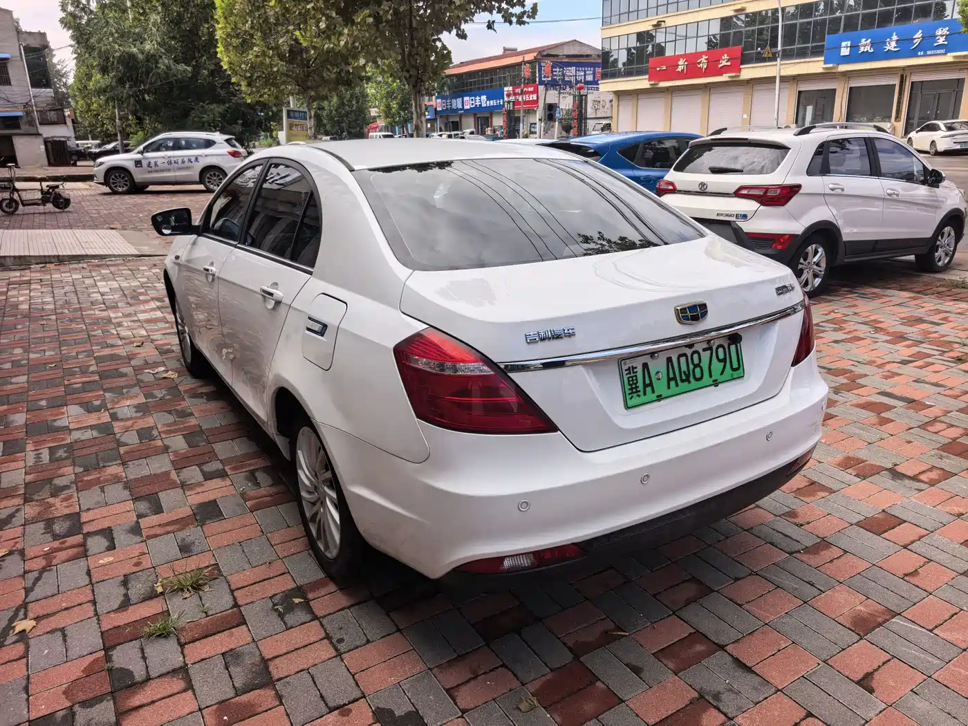 Geely Emgrand New Energy 2017 2017 EV300 Elite