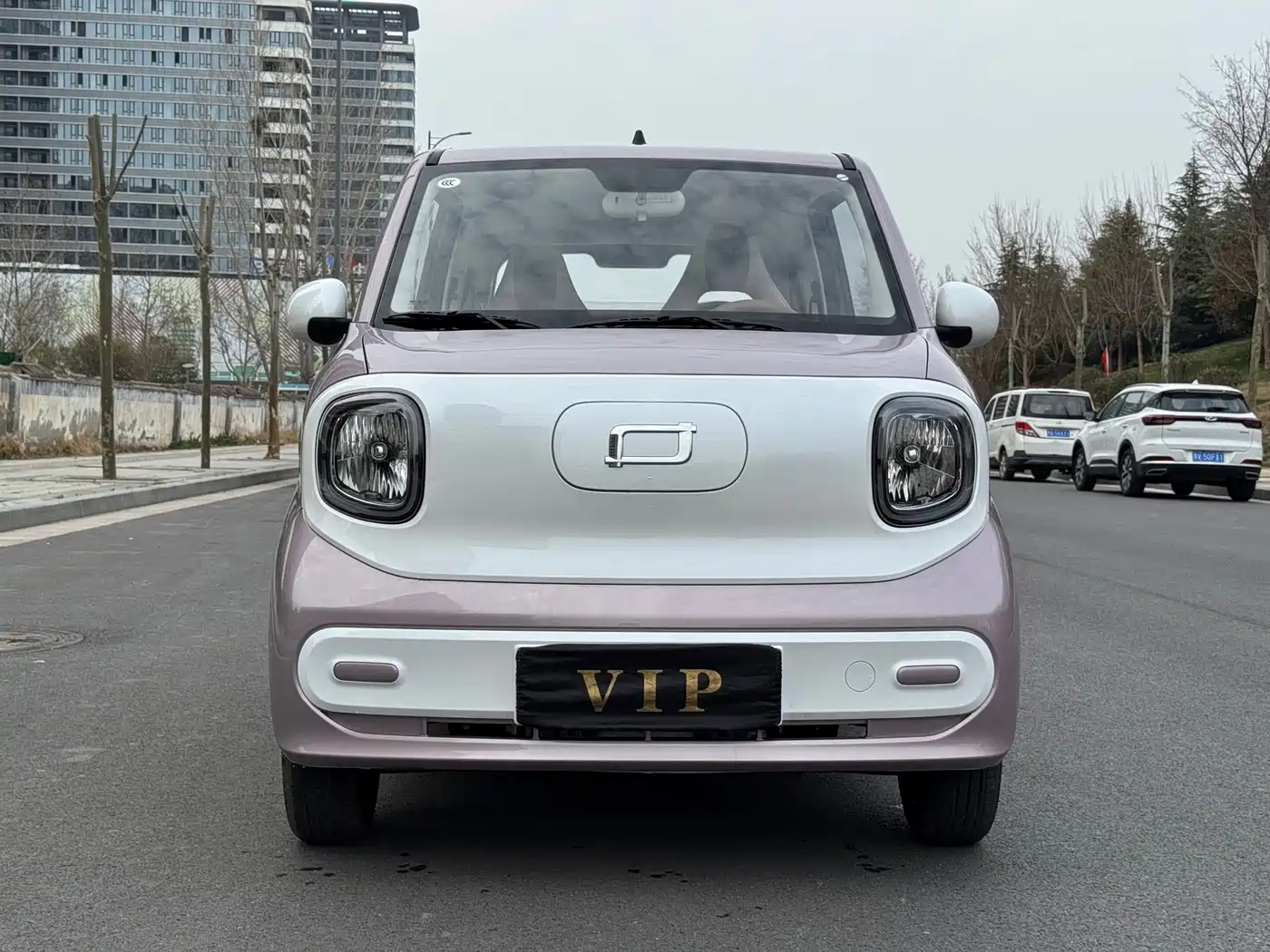 BESTUNE PENTIUM PONY