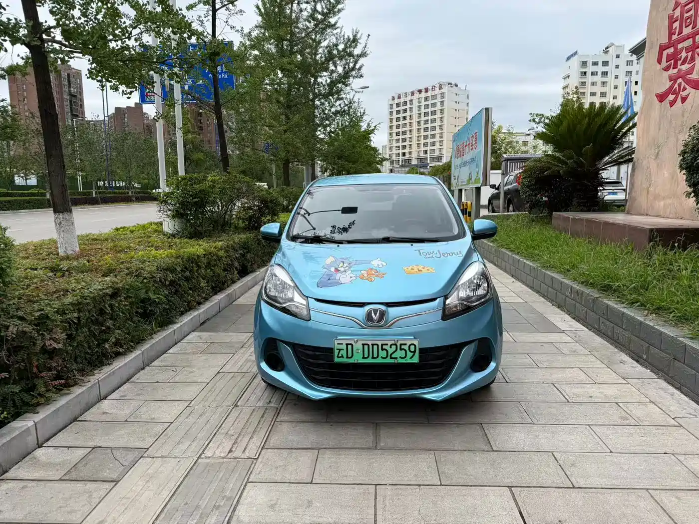 Changan Benben E-Star 2021 2021 National Edition Delight (Ternary Lithium)