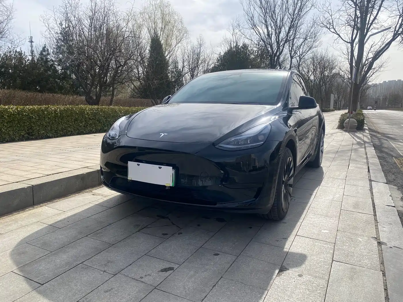 TESLA MODEL Y
