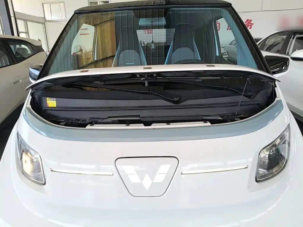 Photo 20 - Wuling Motors Wuling NanoEV