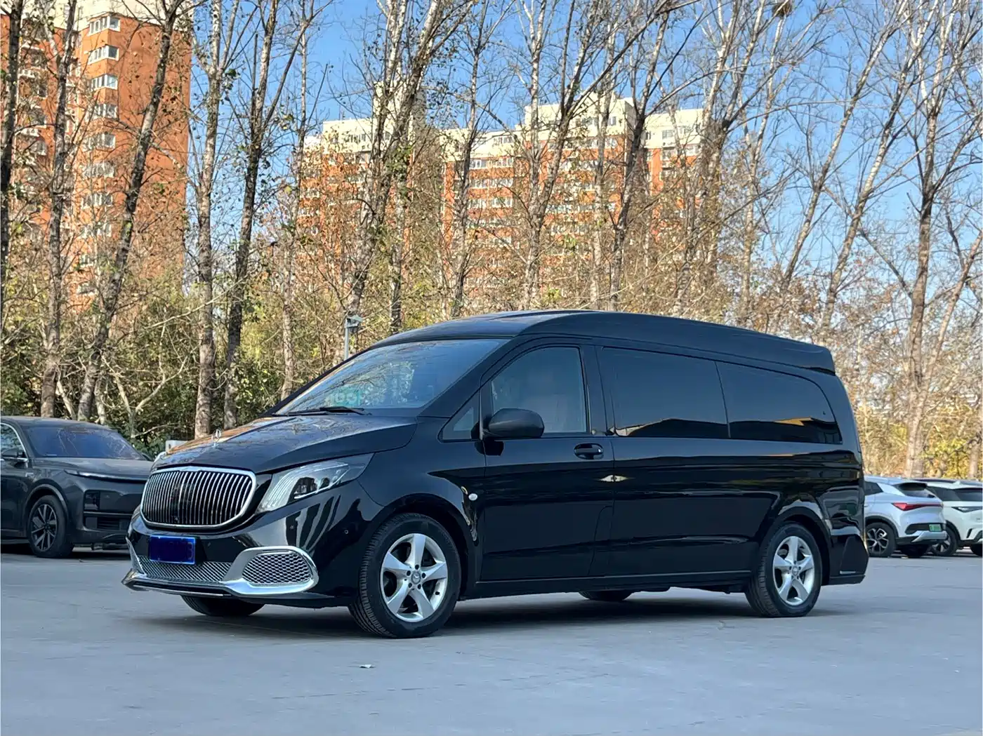 Mercedes-Benz Vito 2016 2.0T Elite 9-Seater фото 2