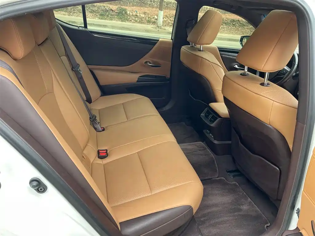 Lexus ES 2021 300h Luxury Edition фото 6