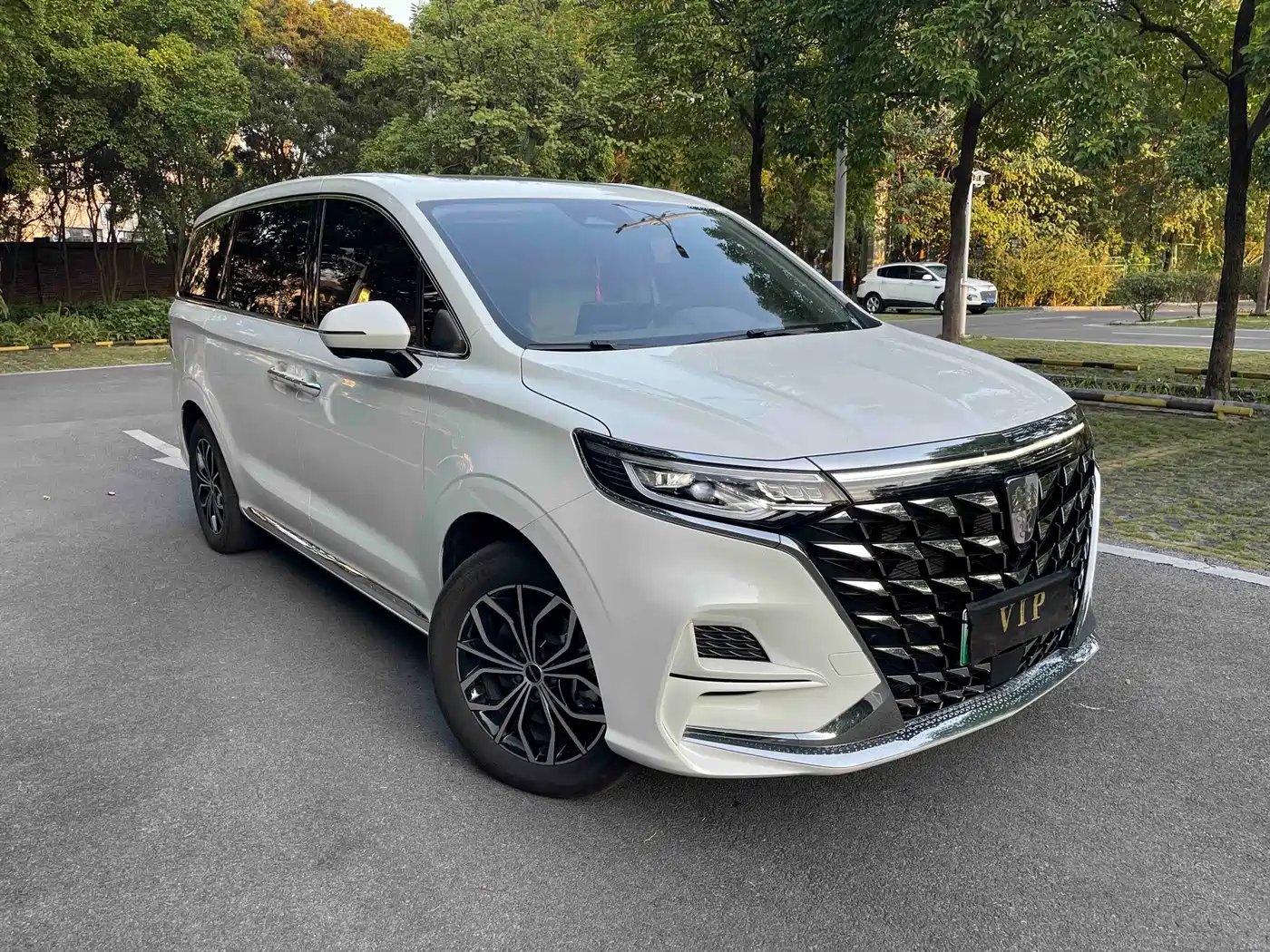 Roewe iMAX8 EV 2025 2025 1.5T DMH Land Luxury Edition