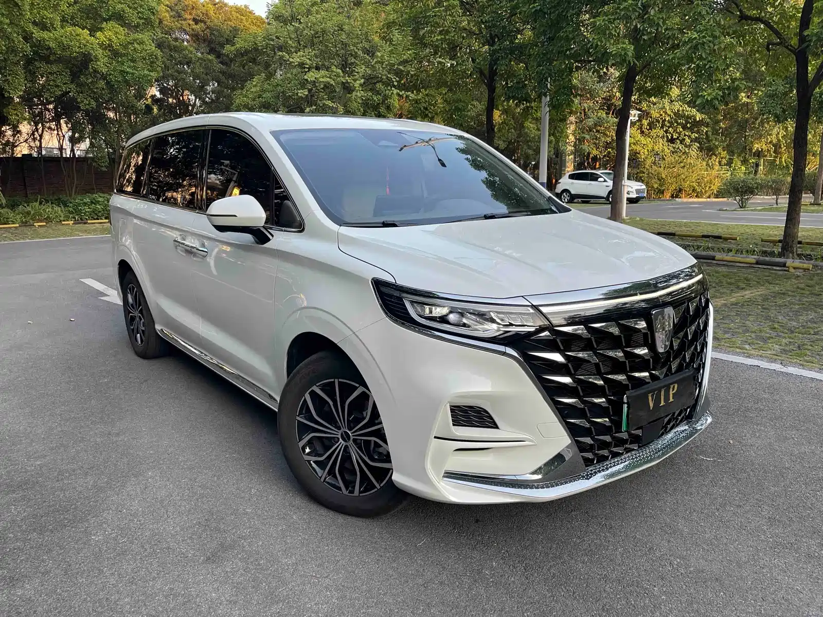 Фото 3 - Roewe iMAX8 EV