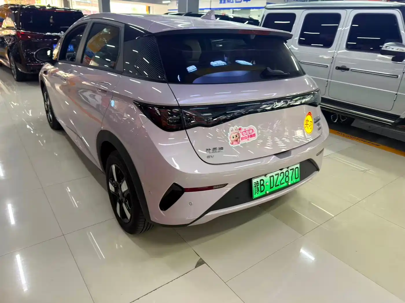 BYD DOLPHIN