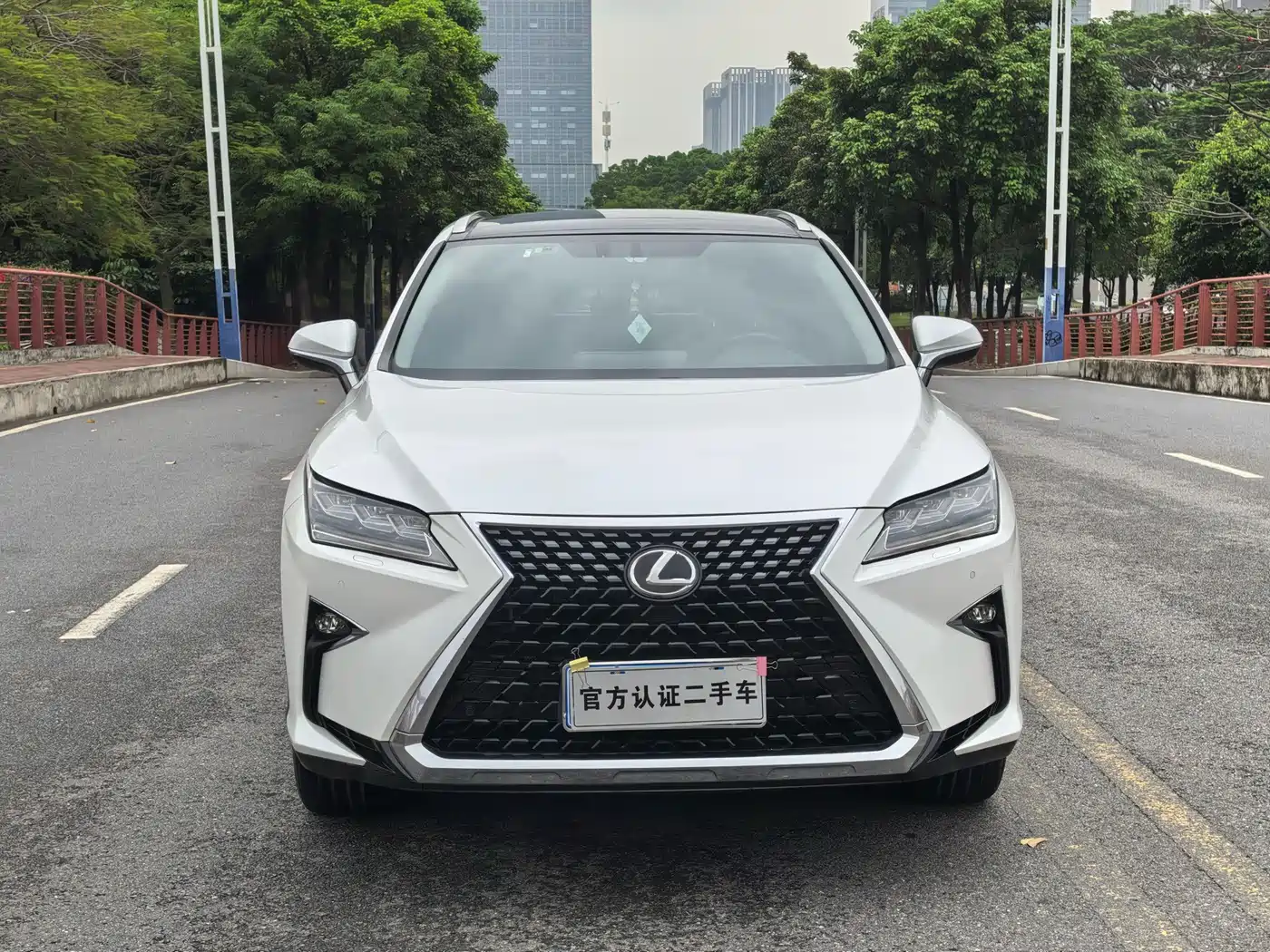 Lexus RX 2016 300 4WD Elegance Edition (China V) фото 2
