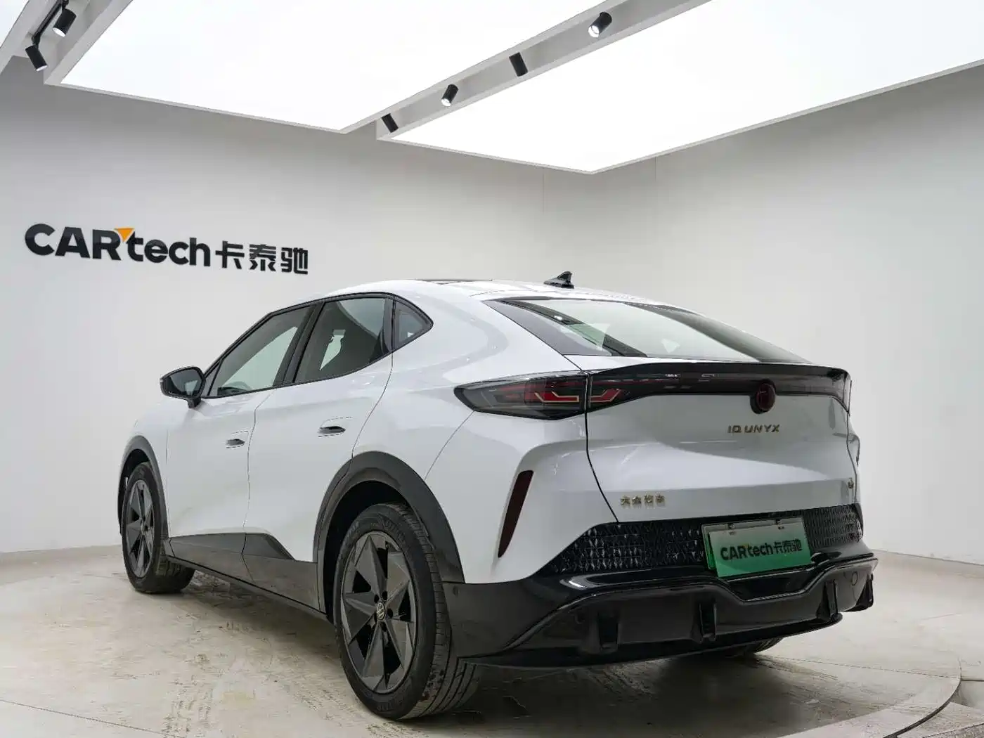 VOLKSWAGEN WITH THE CROWD 06