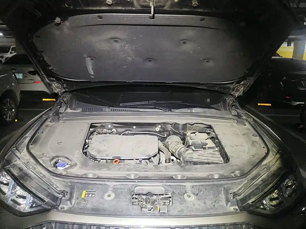 WEY Mocha 2022 2021 2.0T 2WD Premium Edition