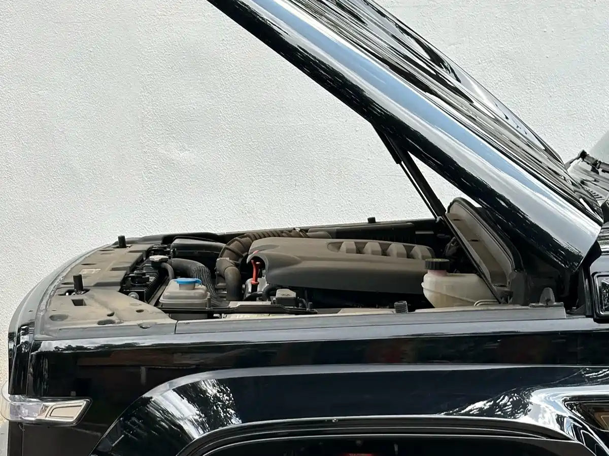 TANK CO CREATION TANK 300