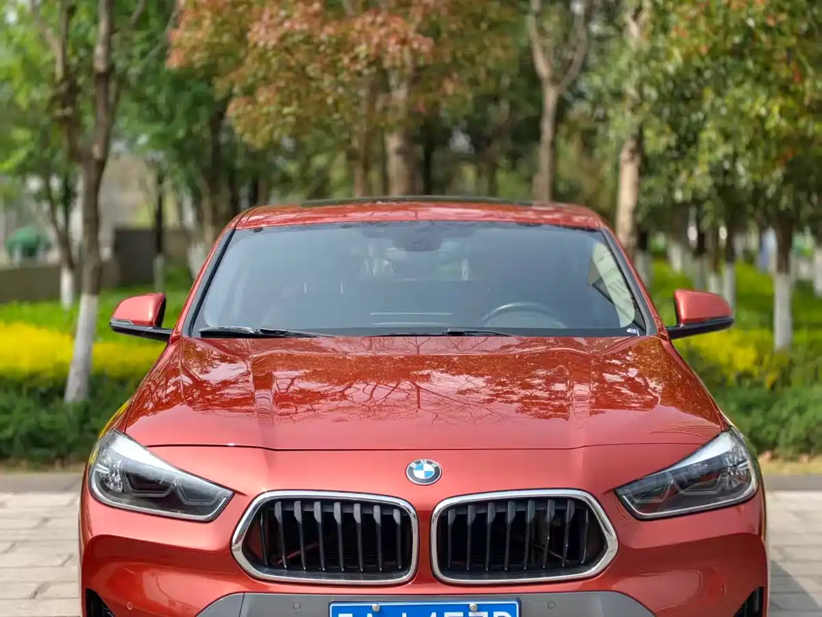 BMW X2 2022 sDrive25i M Sport Package фото 2