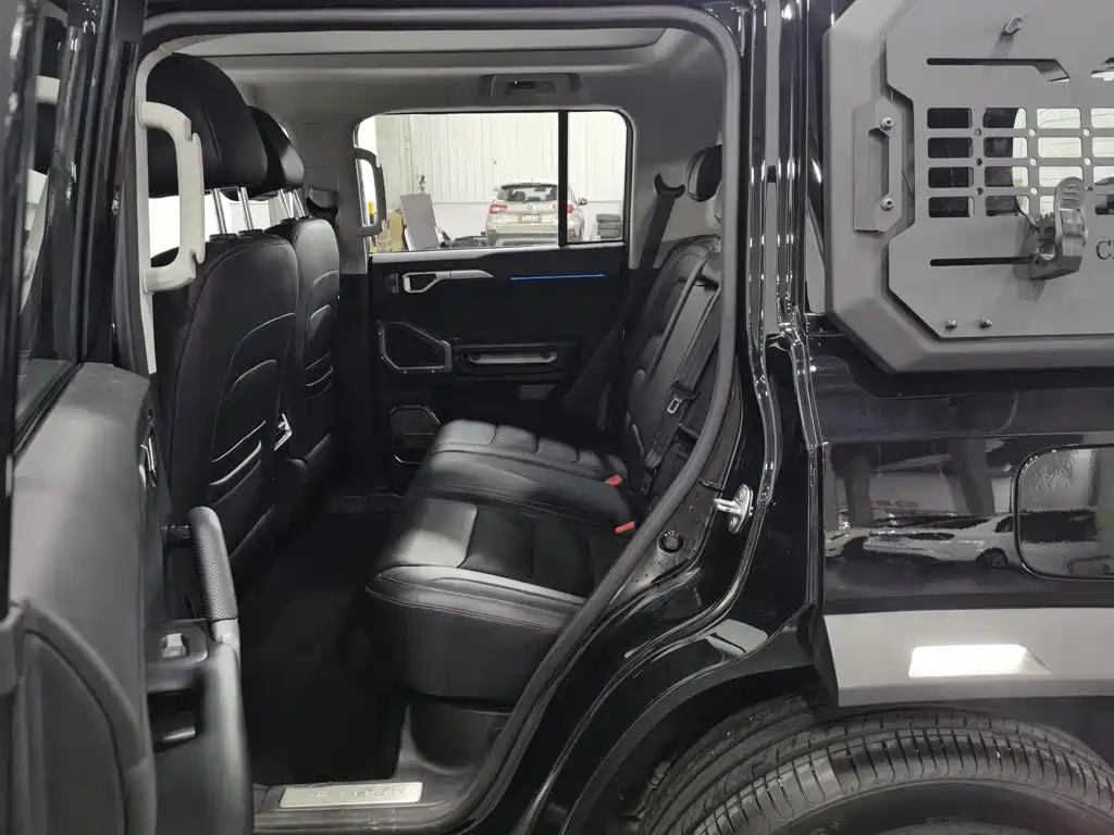Jetour Shanhai T2 2025 2024 C-DM 129KM Forest Edition