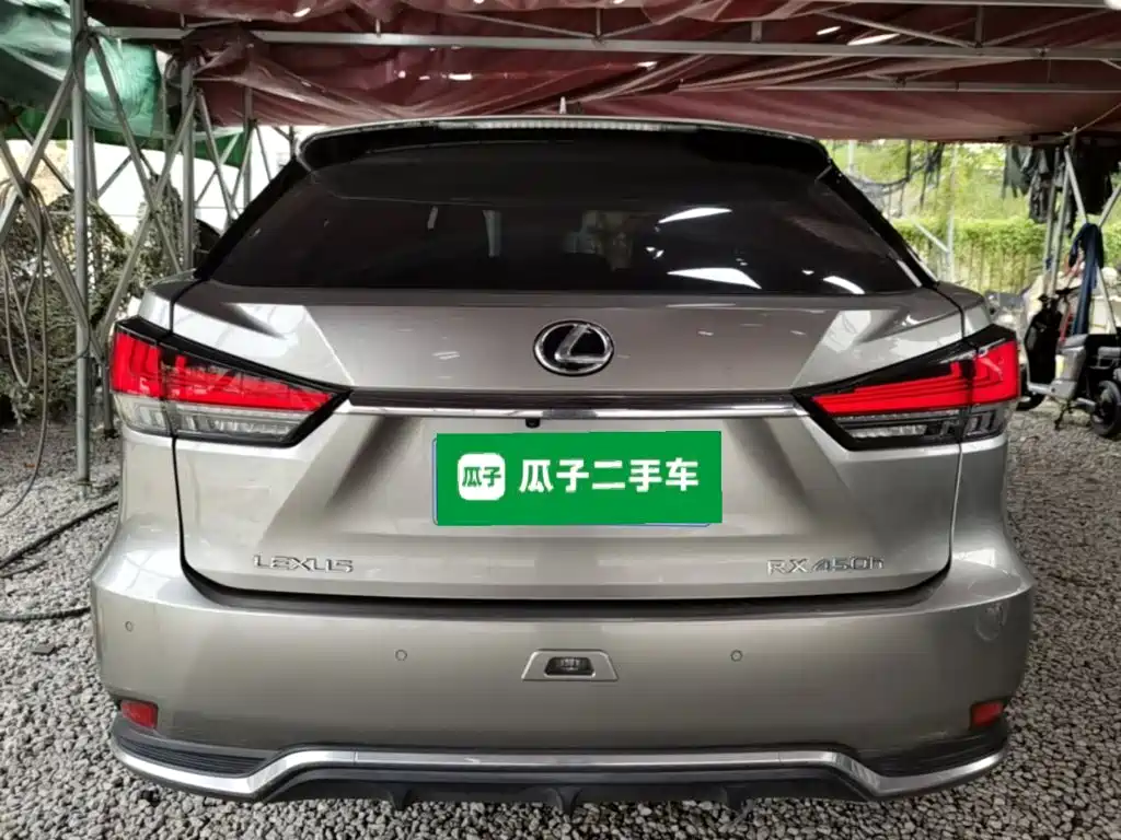 Фото 6 - Lexus RX