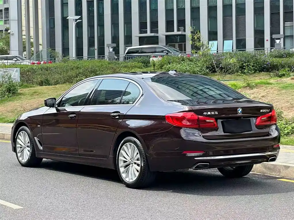 BMW 5 Series 2018 Facelift 530Li Leading Luxury Package фото 5