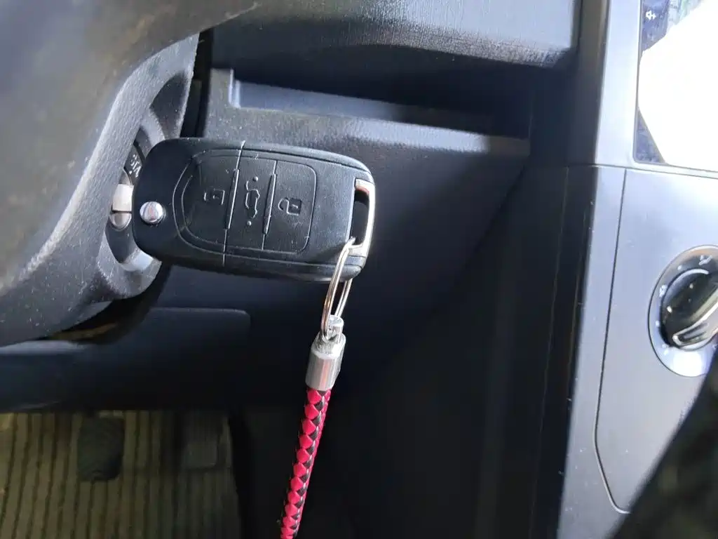 Wuling Motors Wuling Hongguang PLUS 2022 2020 1.5L Manual Standard 5-seater