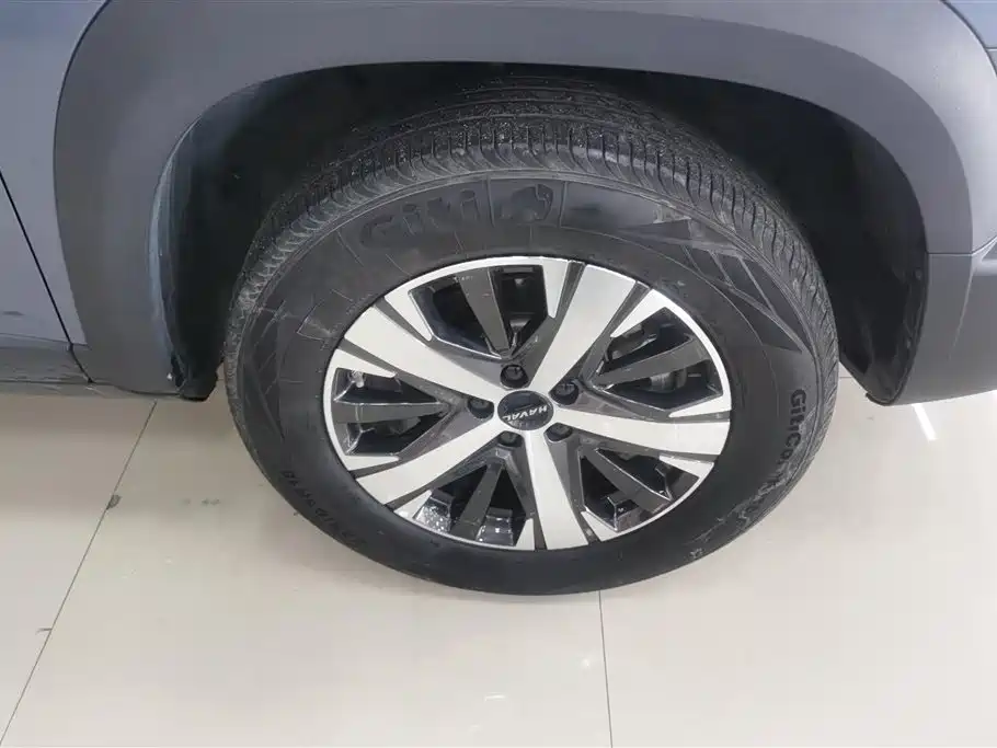 Haval Big Dog 2021 1.5T DCT 2WD Labrador Edition фото 6