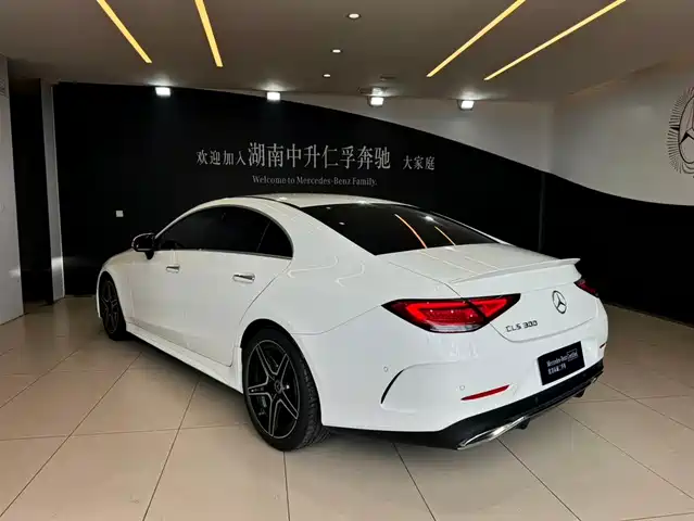 Mercedes-Benz CLS 2021 CLS 300 Luxury — фото 4