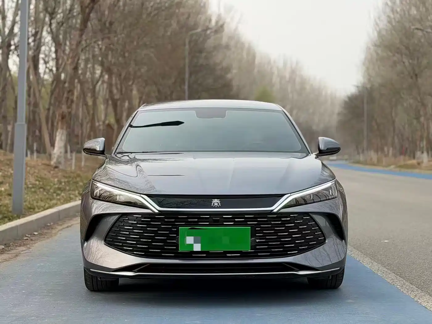 BYD QIN L
