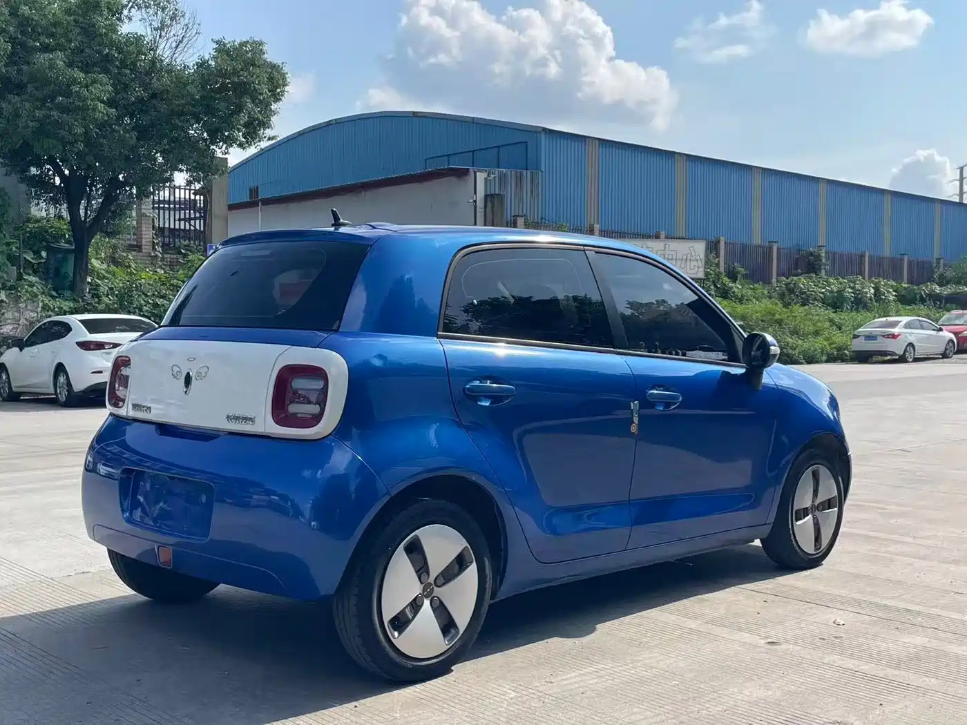 Ora Black Cat 2019 2019 310km Fun Edition