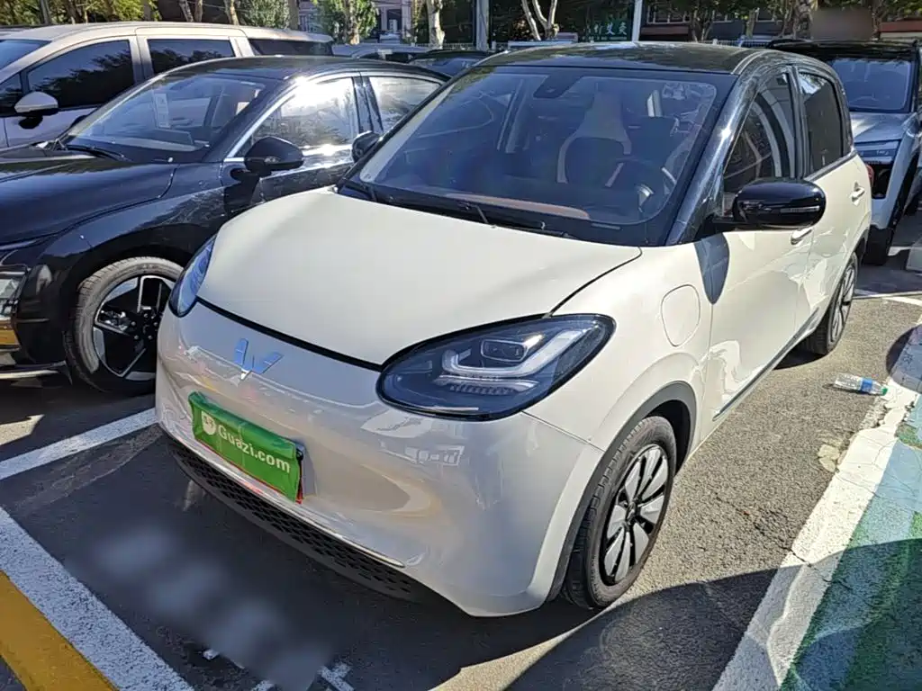 Wuling Motors Wuling Bingo 2023 333km Smart Connectivity Edition