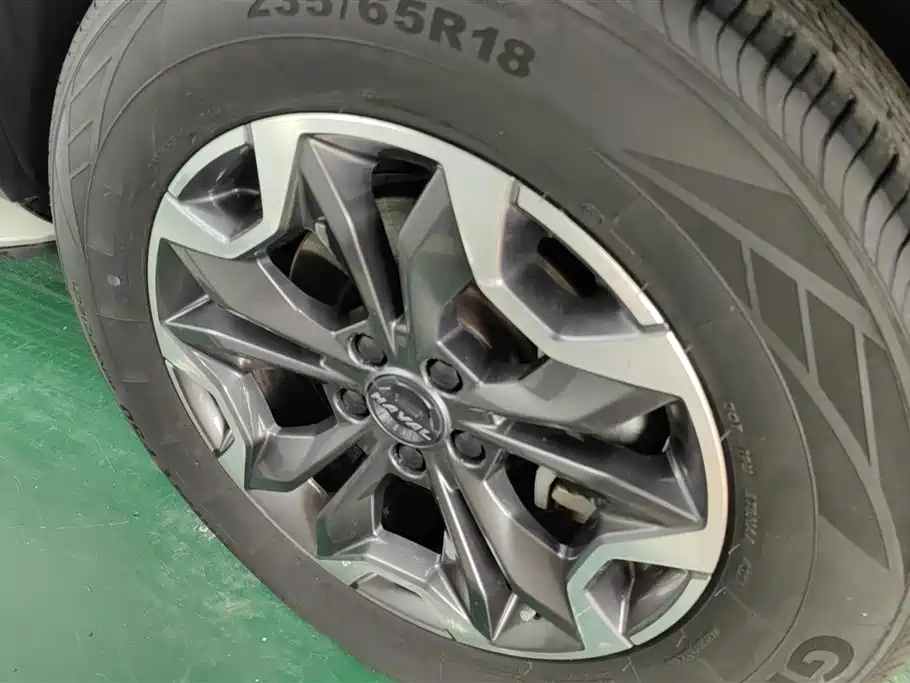 Haval Big Dog 2021 2.0T DCT 4WD Chinese Rural Dog Edition фото 6