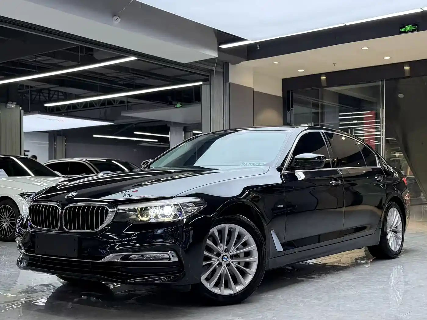 BMW 5 Series 2018 530Li Leading Luxury Package