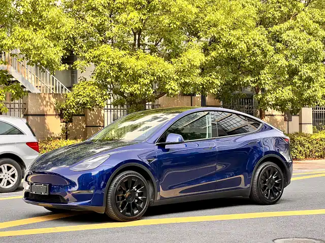 Tesla Model Y 2021