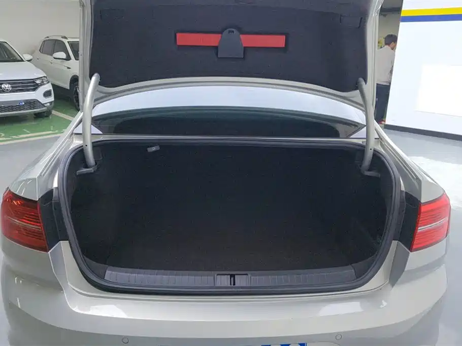 Volkswagen Magotan 2019 330TSI DSG Luxury Class China VI фото 4